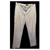 Banana Republican Sky Blue Pants and Lands End Button Down Green, Blue and White Shirt