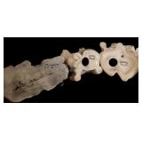 Grouping of Petite Porcelain Dogs With All Breeds