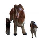 Adorable Three Collie