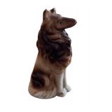 Adorable Three Collie