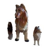 Adorable Three Collie