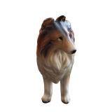 Adorable Three Collie