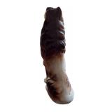 Adorable Three Collie