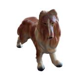 Adorable Three Collie