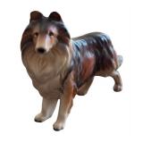 Adorable Three Collie