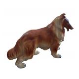 Adorable Three Collie