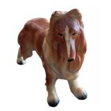 Adorable Three Collie