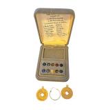 14k Hoop Earrings with Replaceable Gems