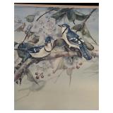 Beautiful Framed Art of Blue Bird on a Tree Branch