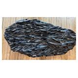 LARGE Orthoceras Fossil Plate from Morocco - 37 Million Years Old