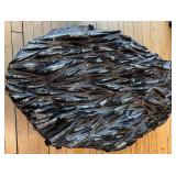 LARGE Orthoceras Fossil Plate from Morocco - 37 Million Years Old