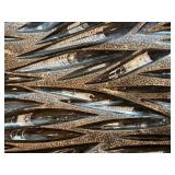 LARGE Orthoceras Fossil Plate from Morocco - 37 Million Years Old