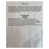 LARGE Orthoceras Fossil Plate from Morocco - 37 Million Years Old