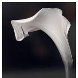 Robert Mapplethorpe Black and White Photography Print - Calla Lily