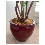 Large Artificial Ficus Tree with Decorative Pot