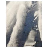 Framed Autographed Jean Harlow Vintage Portrait