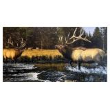 Framed Bruce Miller Elk Wilderness Signed Limited Edition Print