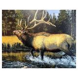 Framed Bruce Miller Elk Wilderness Signed Limited Edition Print