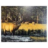 Framed Bruce Miller Elk Wilderness Signed Limited Edition Print