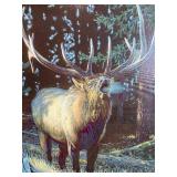 The Challenger 1996 Artwork by Bruce Miller in Ornate Frame