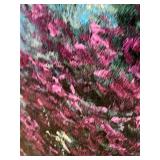 Framed Landscape Painting 