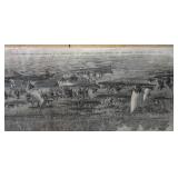 Collection of The Illustrated London News Engravings