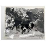 Set of 18 Vintage Movie Stills from 