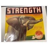 Vintage Sunkist Strength Brand Valencias Label