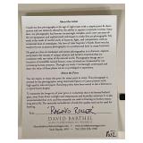 Raging Roller by David Barthel Framed