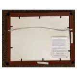 Raging Roller by David Barthel Framed