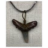 Fossilized Shark Tooth Pendant Necklace