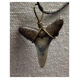 Fossilized Shark Tooth Pendant Necklace