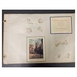 Salesman Sample Brown and Bigelow Art Print Card Collection incl. Audubon Mallard