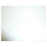 Senco Auto Feed Screw Gun, #DS245-AC, 120V