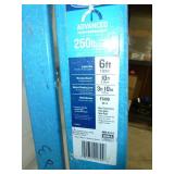 Werner Fiberglass Ladder 6