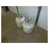 LP Tanks 20 Lb. x 2