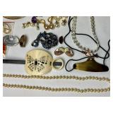 Collection of Costume Jewelry - necklaces, bracelets, pins, brooches