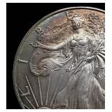 1996 Toned Walking Liberty Silver Dollar .999 Silver