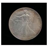 1995 Toned Walking Liberty Silver Dollar .999 Silver