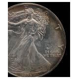 1995 Toned Walking Liberty Silver Dollar .999 Silver