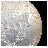 1995 Toned Walking Liberty Silver Dollar .999 Silver