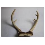Set of 2 Deer Antlers with Natural Base