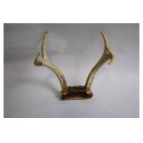 Set of 2 Deer Antlers with Natural Base