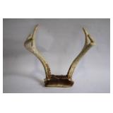 Set of 2 Deer Antlers with Natural Base