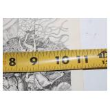 Trio of Richard P. Havard Surrealist Lithographs