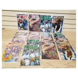 Lot of Iron Man, The Punisher, Teenage Mutant Ninja Turtles, Adventures of Brett Hull Comic Books