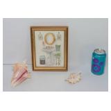 Bathroom Wall Art and Shells