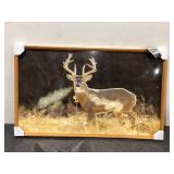 Open Road Brands Deer in Field Framed Wood Wall Art by Lance Krueger, Measures 24" x 40"
