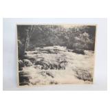 Collection of Japanese Vintage Photographic Prints from National Park on Lake Towada