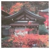 Lovely Japanese Temple Framed Photographic Print